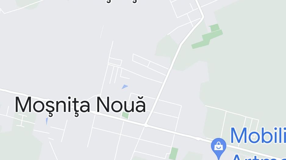 TEREN MOSNITA VECHE-GHIRODA  602 MP - Poză 4