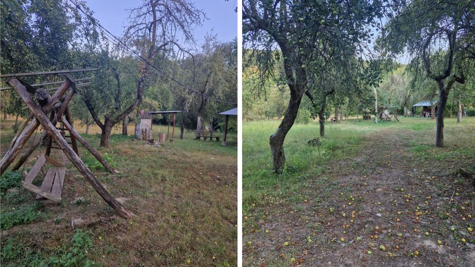 Teren de vacanță 5600 mp cu cabană, Utilitaiile Căsoaia jud Arad - Poză 6