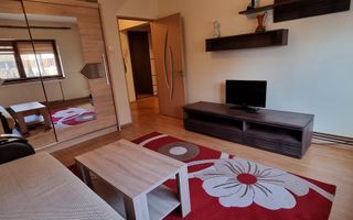 Apartament cu 1 Camera, Etaj 1, Zona Cetate - Poză 1