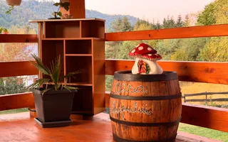 Cabană de lemn | 6 camere | Foișor | Ciubăr | Remeți | Bihor - Poză 29