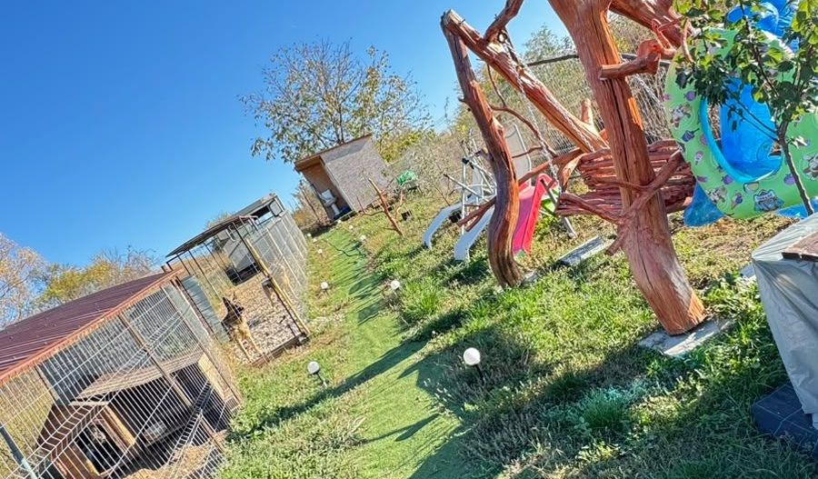 🏡 DE VÂNZARE CABANĂ ÎN BĂRĂBANȚ – PREȚ IMBATABIL! - Poză 6