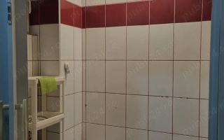 Garsonieră 20 mp – confort 2, etaj 4/10 – Zona Drumul Taberei - Poză 4