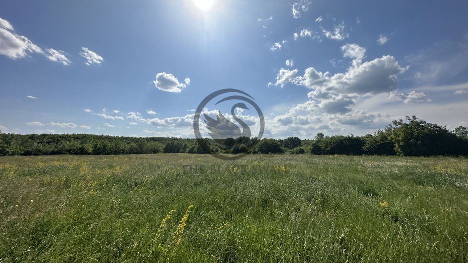 Teren intravilan de vanzare | 11.000 mp | Ghirdoveni | Comision 0% - Poză 8