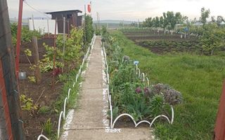 Teren intravilan 470 mp – Horlești, Comuna Rediu, județul Iași - Poză 2