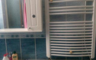 De vanzare Garsoniera Studio 1 camera Cismigiu Pod Hasdeu CURTE propie - Poză 5