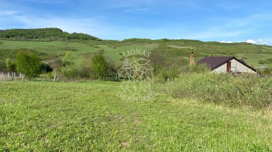 Teren 2160 mp - pretabil pentru cabana - investitie - Jelna - Poză 7