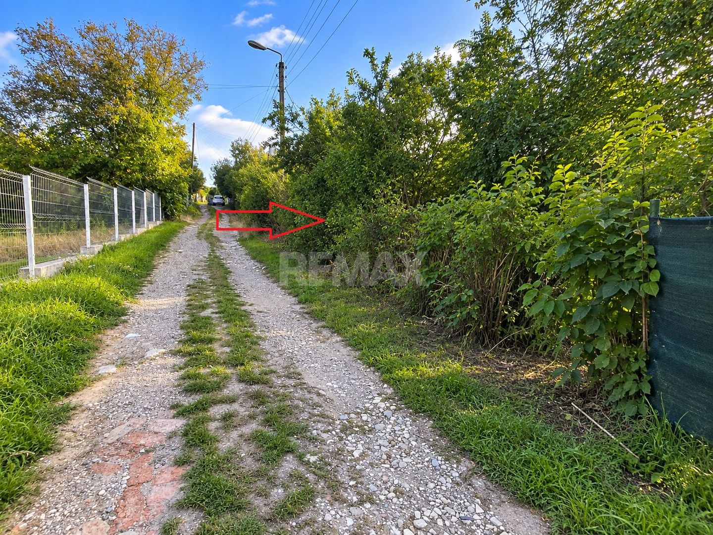 LOT POMICOL DE VÂNZARE – 5,7 ARI | IALOVENI  Î.P. „Floare-Carpet - Poză 5