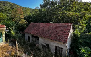 Două case cu teren de 36.291 mp, în Dealul Mic - Poză 14