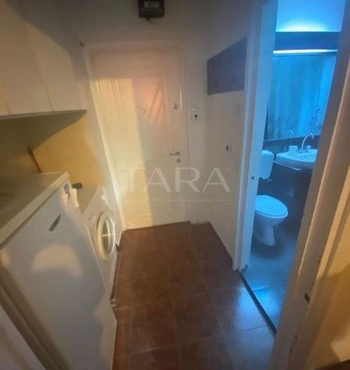 Garsonieră de vânzare în Cluj-Napoca, zona Mănăștur, Piața Flora - Poză 8