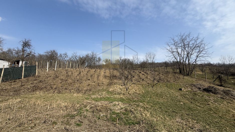 Teren intravilan Dobrovat + Casa Batraneasca - Poză 4