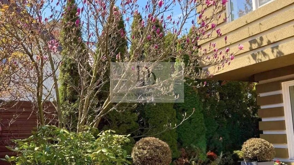 Casă finisaje LUX în Andrei Mureșanu | Saună & Jacuzzi - Poză 19
