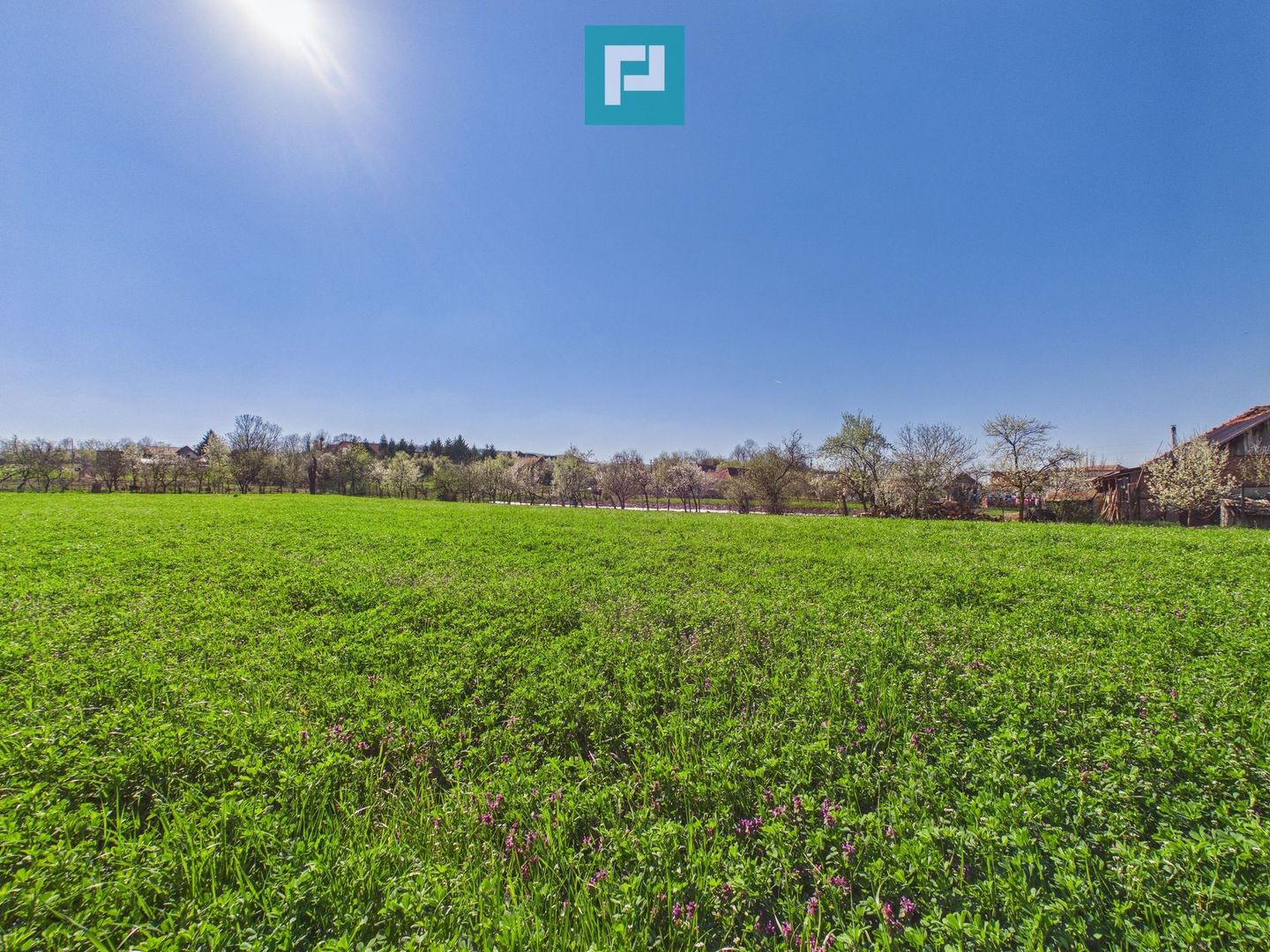 Teren intravilan 3024 mp, în comuna Almaș, Arad - Poză 3