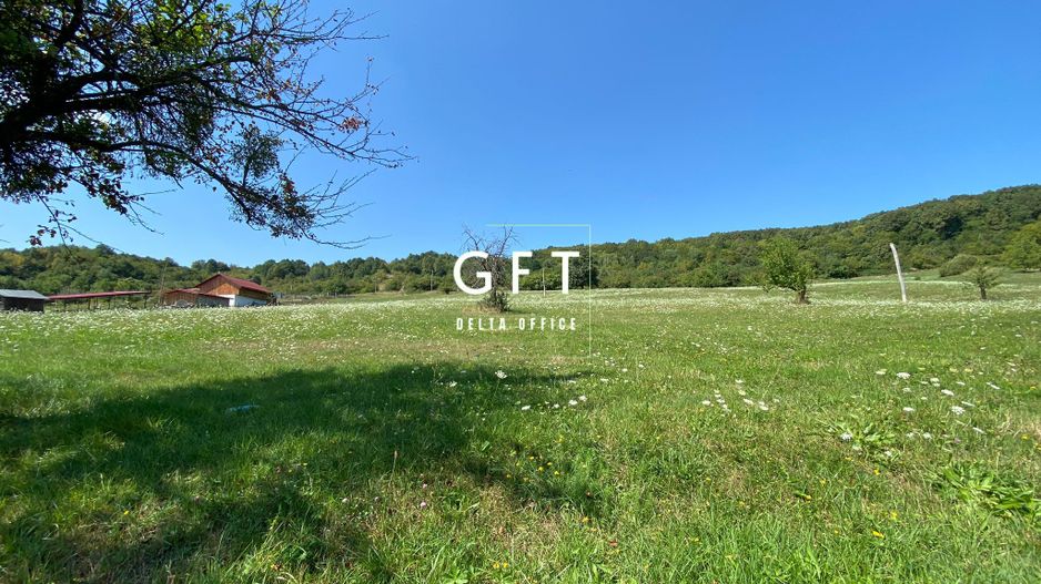 Teren Extravilan 11.000mp-Unirea-Valea Slatinitei - Poză 8