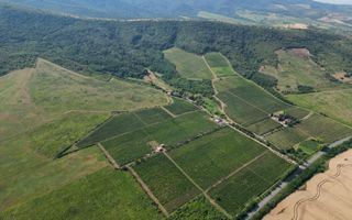 Vie Tradițională „Halta Lupilor” - Poză 31