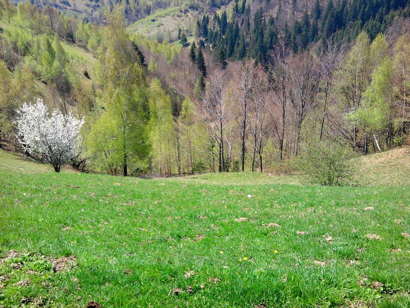 teren intravilan in zona Magura Bran - Poză 27