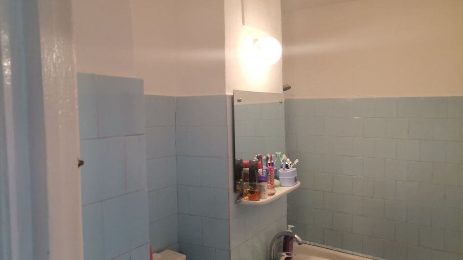 Vanzare apartament 2 camere, Banat - Poză 6