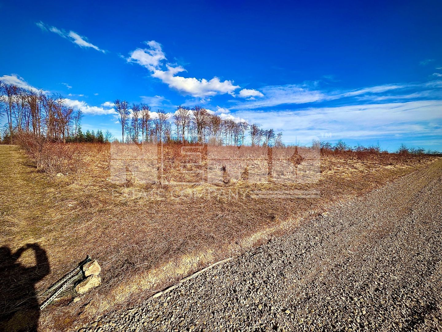 Teren intravilan | 48 ARI | Voivodeasa - Poză 2