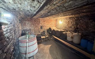 De vânzare 2 Case de vinificație cu Teren 4108 mp - Grădina Viilor - Carei - Poză 6