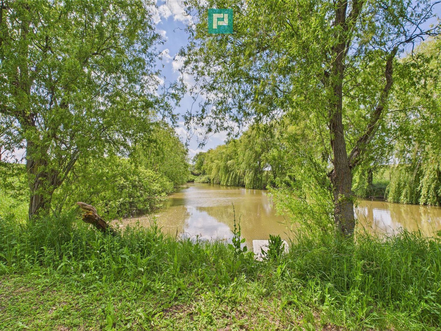 Teren cu baltă- oportunități multiple la Fibiș - Poză 2