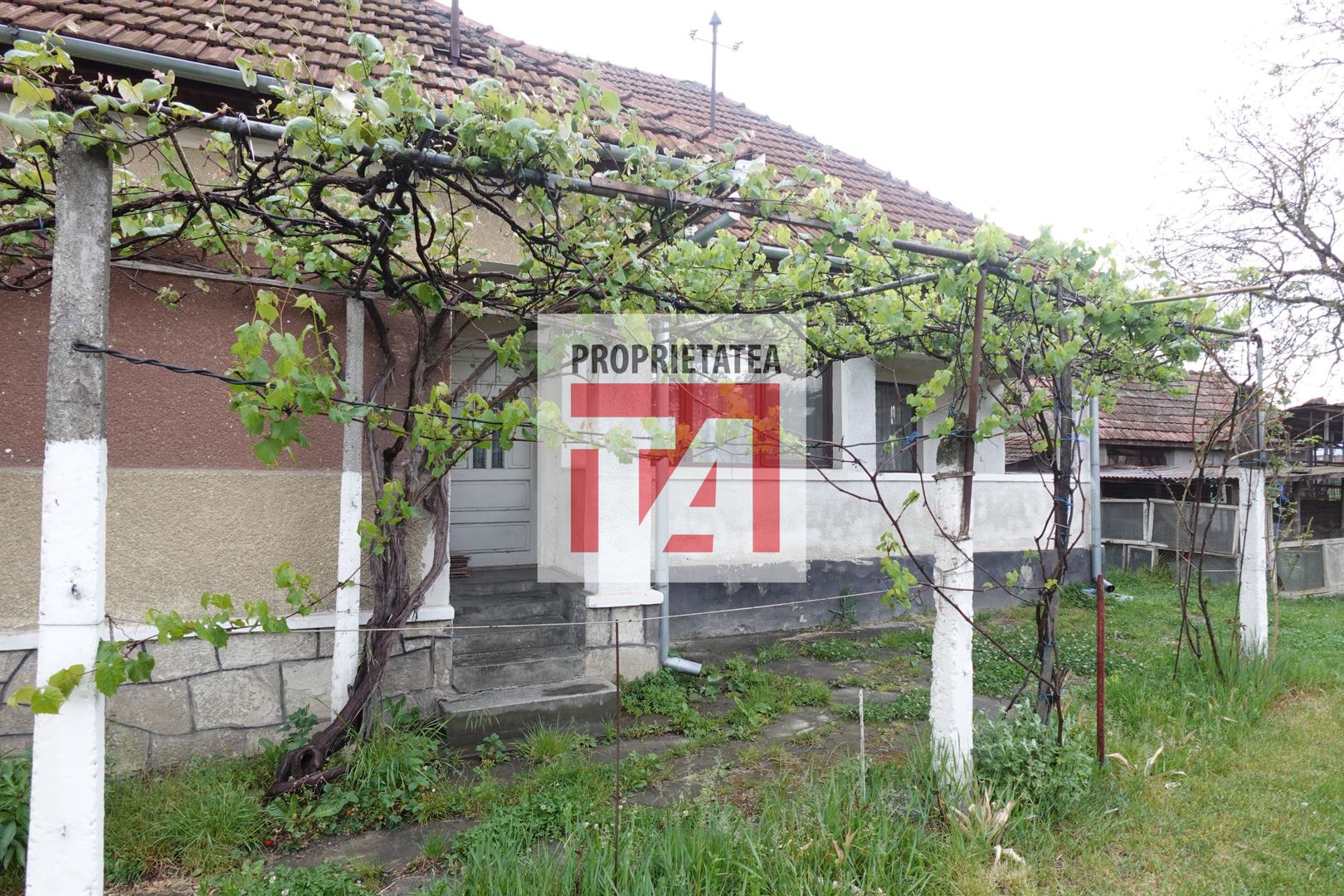 Casă cu teren generos de 5.820 mp în Hideaga, la doar 11 km de Baia Ma - Poză 2