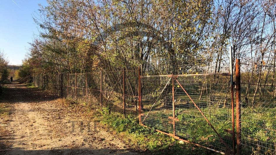 Teren intravilan de vanzare | 12.650 mp | Ghirdoveni, | COMISION 0% - Poză 9