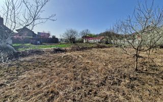 AZURA Imobiliare - Teren si Casa Micesti - Poză 7