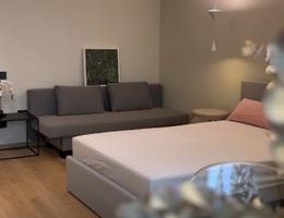 Garsonieră modernă, mobilată complet – cartier Astra - Poză 9