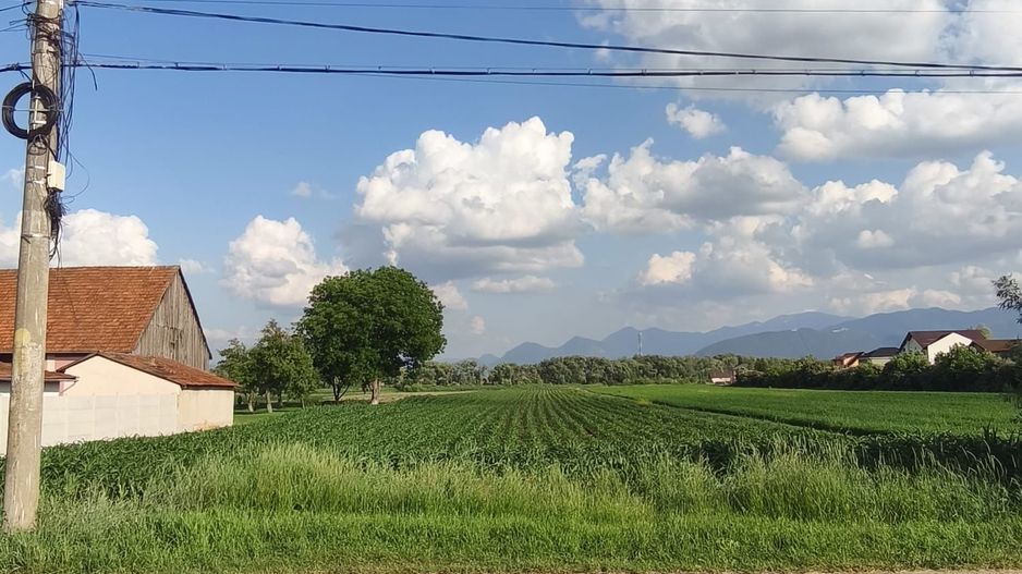 teren intravilan 700mp str. Fagurului, Stupini - Poză 1