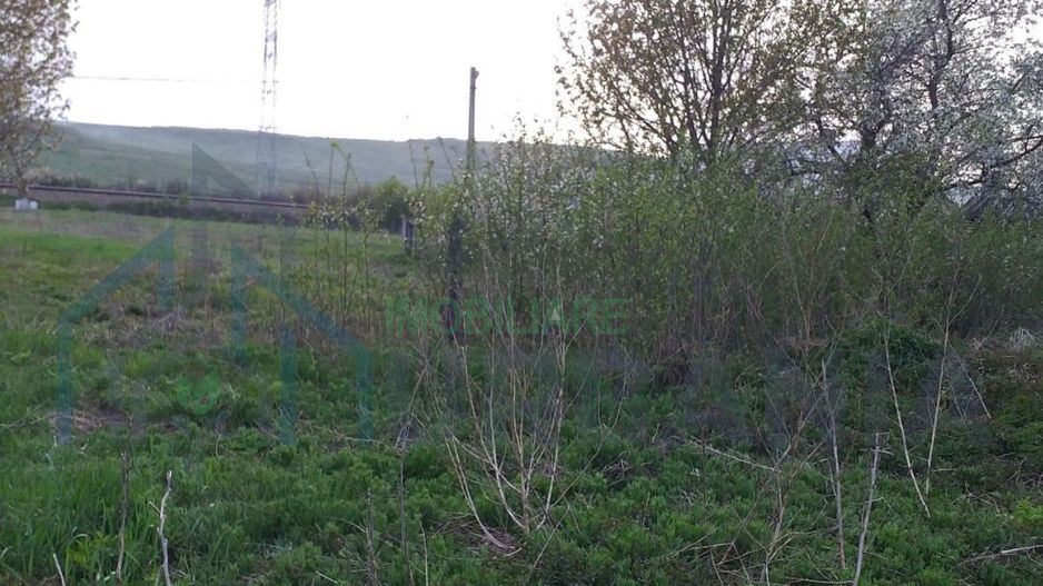 Teren intravilan si extravilan de vanzare in comuna Grajduri, satul Lunca - Poză 2