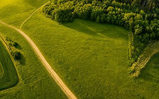 6.000 mp teren granitat de liziera compacta de padure, ecran natural de liniste, - Poză 3
