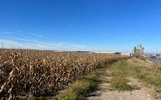 Teren industrial in zona Vest- deschidere la drum principal - Poză 3