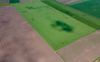 Teren de 5Ha în Satchinez. - Poză 3