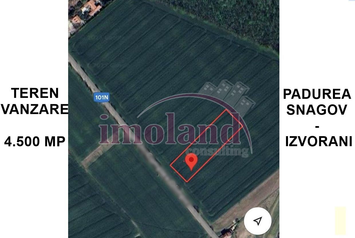 Teren intravilan - 4500 mp - Izvorani - Padurea Snagov - Poză 2