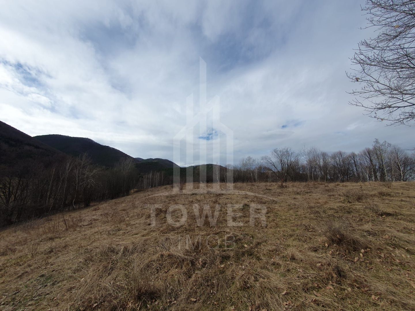 Teren Intravilan 2.938 mp | Tocile - Poză 7