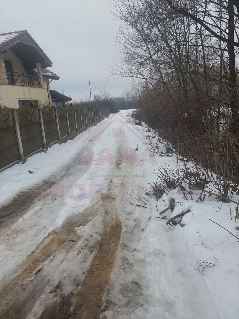 TEREN INTRAVILAN - STRADA AEROPORTULUI\ CARANSEBEȘ\JUD.CARAȘ-SEVERIN - Poză 6