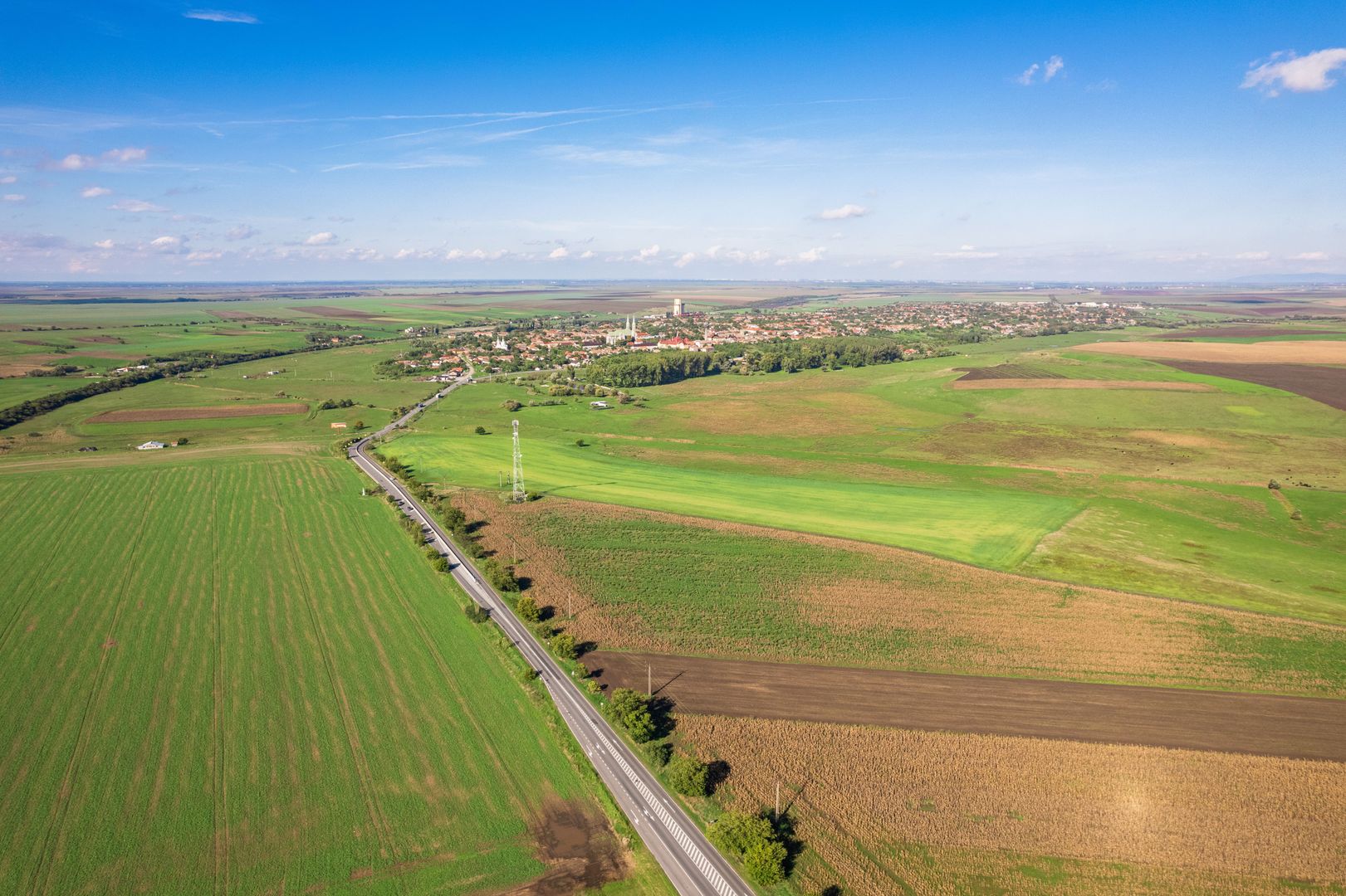Teren de 104000 mp în Vinga - Poză 8