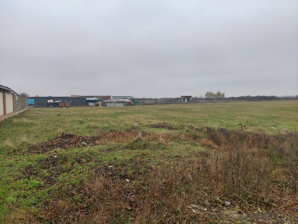 Teren 4588 mp, Remetea Mare Comision 0% - Poză 2