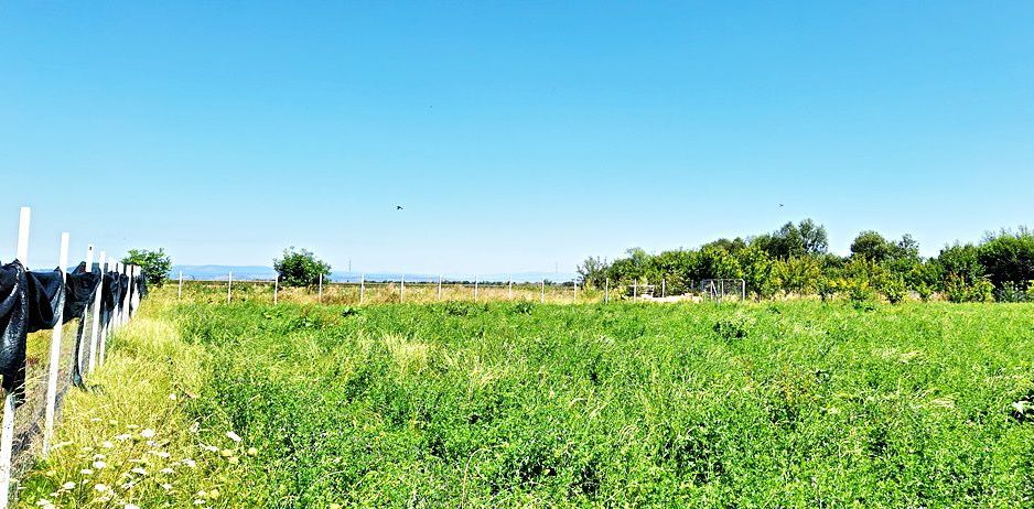 Sacele, teren intravilan 1386 mp, parau, priveliste superba, 45 euro/mp - Poză 5