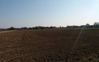 Investitie!Intravilan 55 ari capat Paulesti ( Intrare Ambud), 3.6 mf - Poză 3