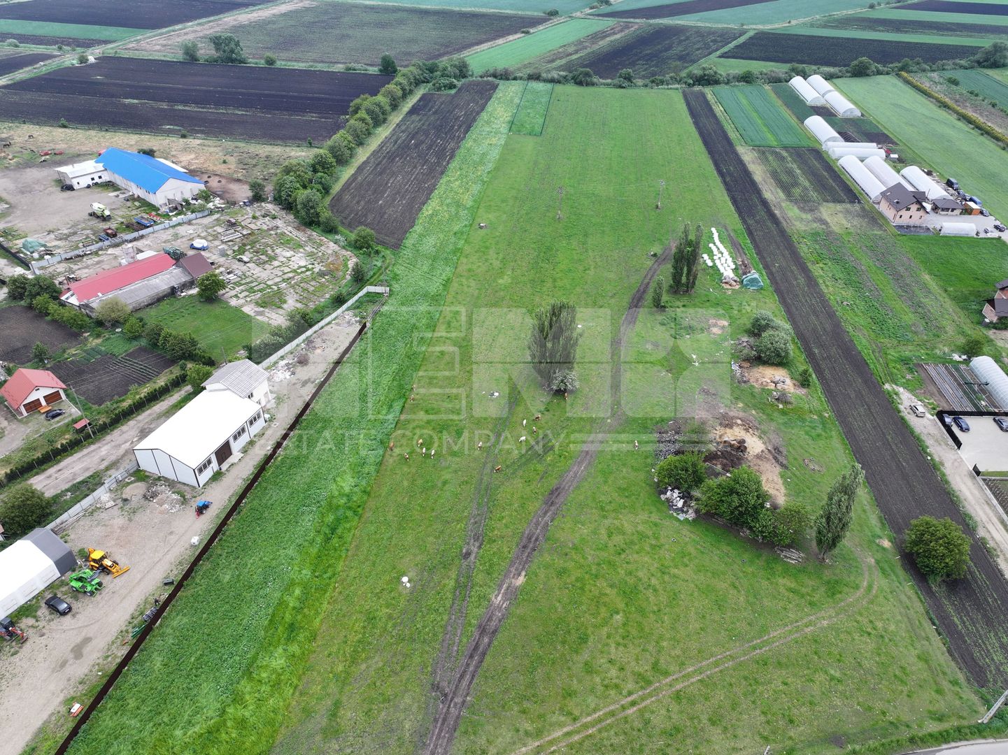 Teren 2648 mp | Strada Francei | Ideal hale sau investitie - Poză 13