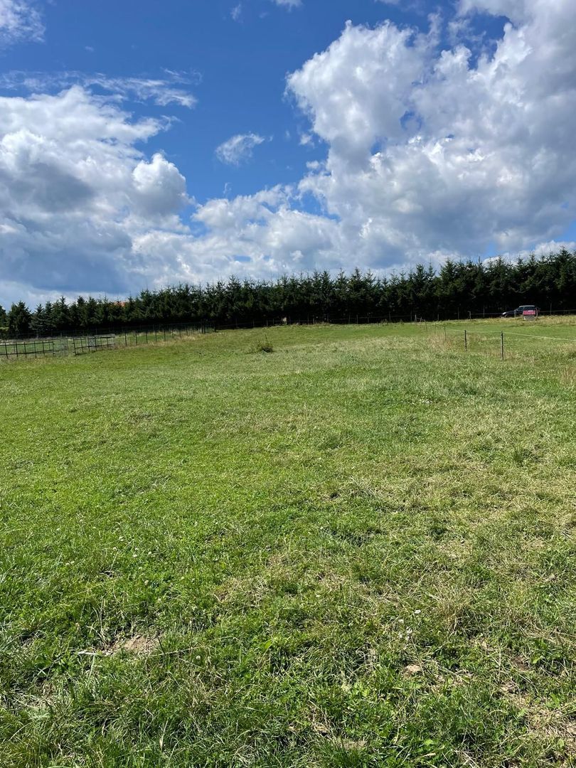 INVESTIȚIE | Teren 5000 mp PUZ APROBAT intravilan - zona Sohodol -Bran - Poză 7