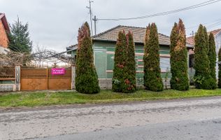 Casă în Dorobanți cu livadă + curte 2500 mp