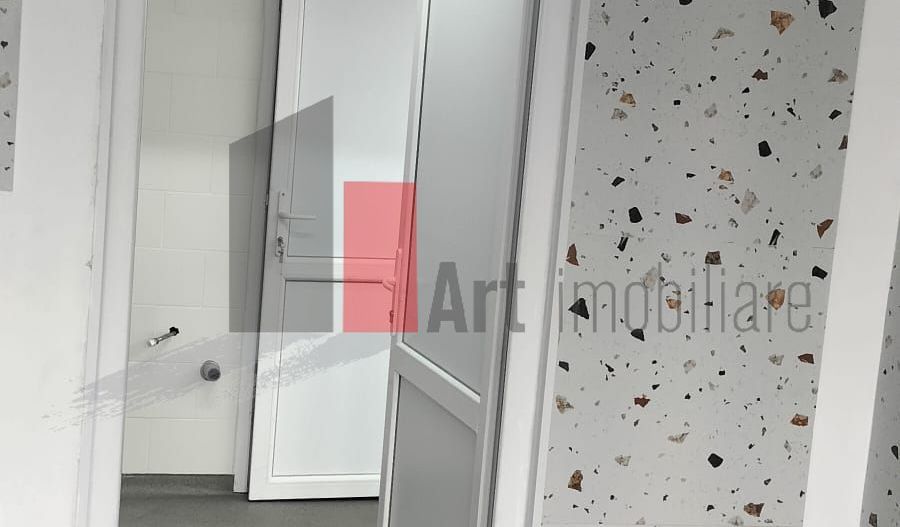 Spatiu comercial (ideal Horeca) de inchiriat in zona Doamna Ghica - Poză 18