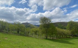 Teren 1042 mp în Tocilele de Sus – priveliște panoramică, utilități complete - Poză 3