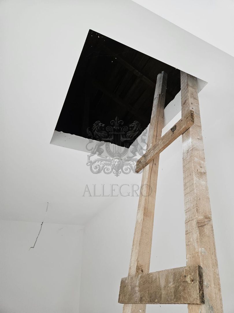 Vanzare | Vila Noua | Clinceni | 5 camere - Poză 4