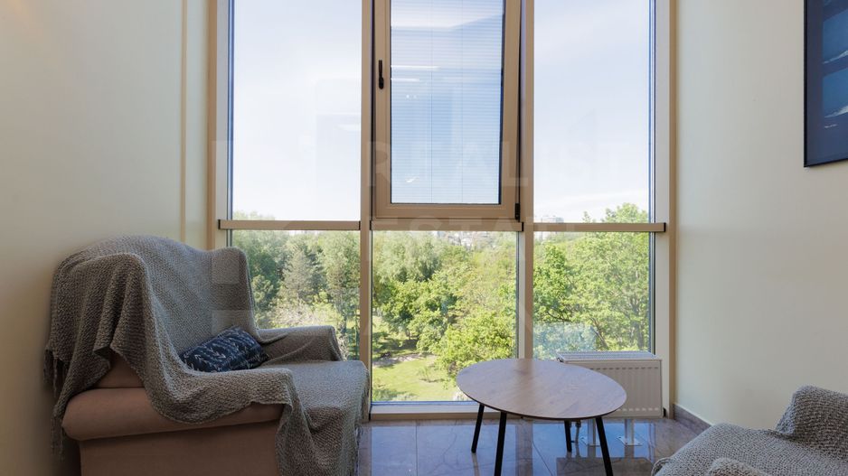 Chirie, apartament, 3 camere, bd. Ştefan cel Mare şi Sfînt, Centru - Poză 19