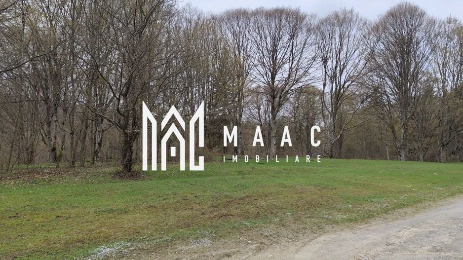 Teren Intravilan |2000Mp| Valea Avrigului - Poză 5