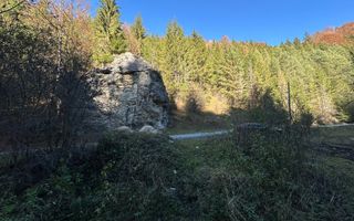 Teren 2.882 mp – oportunitate investitie - Cheile Dâmbovicioarei - Poză 13