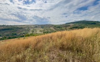 Teren 4.000 mp | Front Generos 47 ml | Utilități | La Asfalt | Cricău - Poză 7
