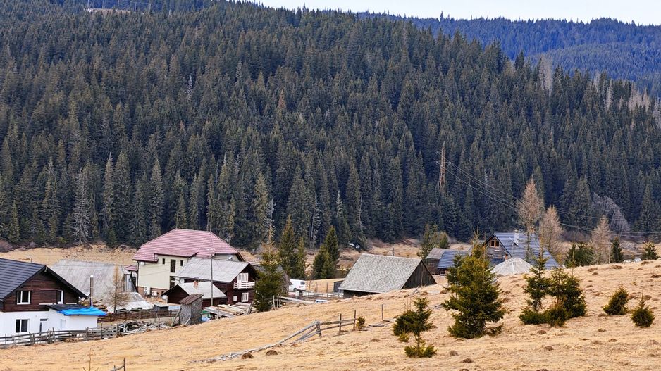 3149 MP in Statiunea Turistica Montana, Belis - Cluj, VEDERE LA LAC - Poză 4